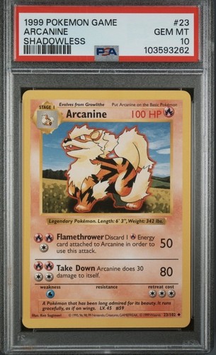 Gioco pokemon arcanine - gioco,