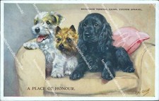 cb489 cartolina family favourites sealyham terrier cairn cocker spaniel