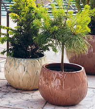 VASO DEROMA GLAZED VICTORIA in