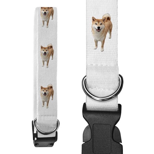 Collari per cani shiba - collari, inu'