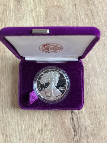 1987 silver american eagle - american,