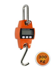 x Bilancia 300 Kg Dinamometro Digitale Sospesa A Molla Appesa Industriale cir