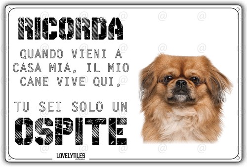 Cartello cane pechinese mio - cane, il