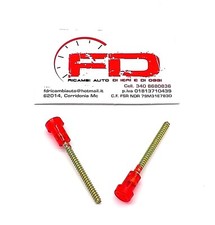 VITI FANALI ROSSE POSTERIORI E ANTERIORI  FIAT 124 125 126 127 128 131 PEZZI 2