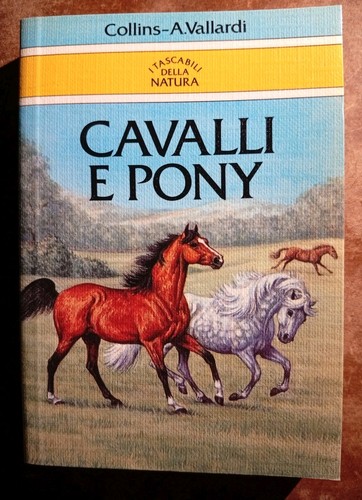 Cavalli pony caroline - e,