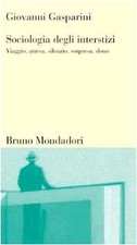 Sociologia degli interstizi