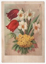 Bouquet di fiori primaverili -