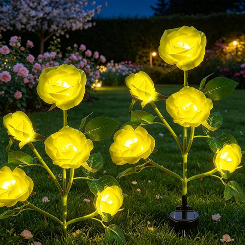 Luci giardino energia - giardino,