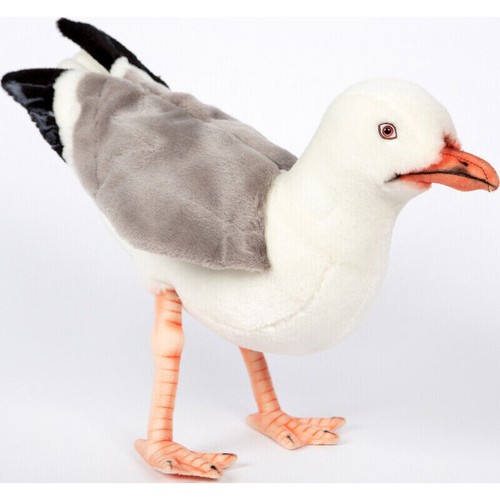 Hansa herring gull - hansa,