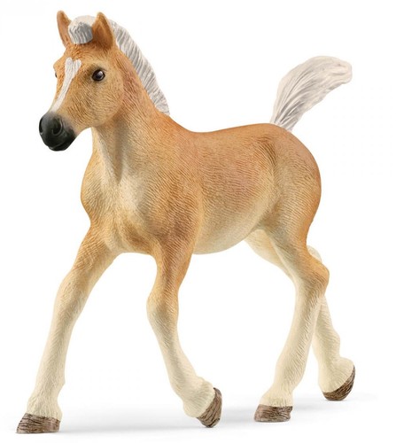 Schleich puledro haflinger - haflinger,