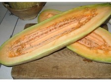 Banana melone di miele - 5+ semi - cimelio - PROFUMATO e SPECIALE! Cm 014