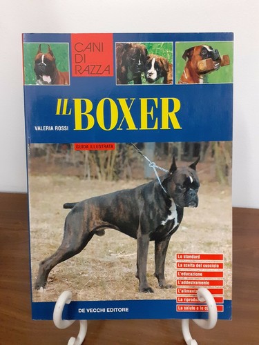 Valeria rossi boxer de - boxer, [