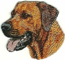 Patch cane Rhodesian Ridgeback