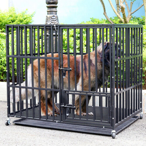 Gabbia per cani - cani, acciaio