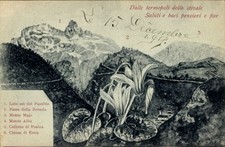 Cartolina Trento Trento Alto