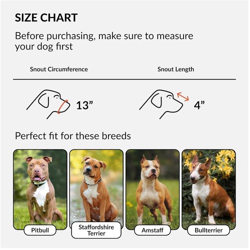 Museruola per cani vera - cani, in