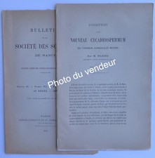 Paléobotanique - , (jura)