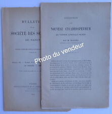 Paléobotanique (Jura)