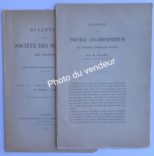 Paléobotanique - , (jura)