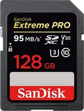 Scheda di memoria SDXC SanDisk