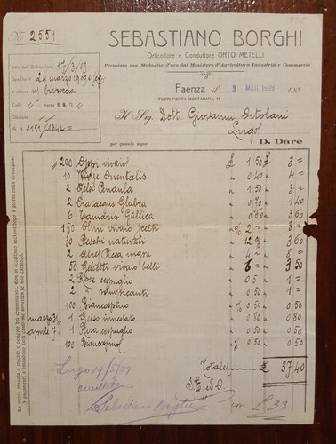18636 fattura del - 18636-fattura, 1909,