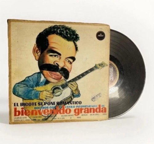 Bienvenido granda el - bienvenido,