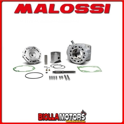 316814 gruppo termico malossi - termico,