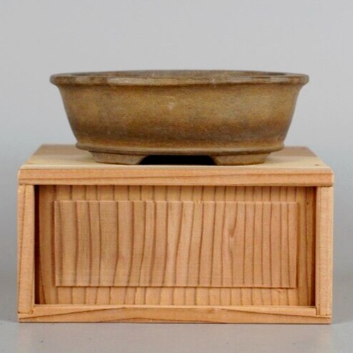 Vaso per bonsai giapponese