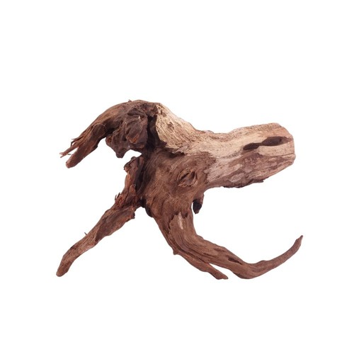 Driftwood flußwurzel radice - driftwood,