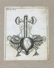 MEDICINE_UROLOGY_URINARY