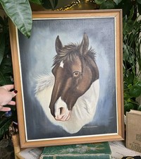 Quadro Cavallo Incorniciato