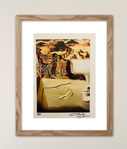 Salvador dalí stampa - dalí,,