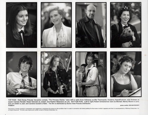 Princess diaries film - diaries,