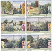 Chromo Liebig Sang. 1579 FIA