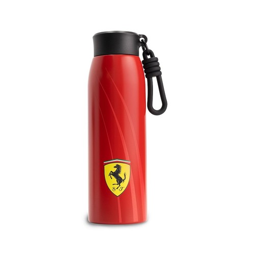Scuderia ferraripuma team - f1,