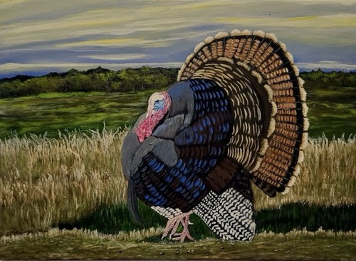 Quadro originale turchia - quadro,