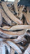 CARRUBE SICILIANE   2 kg