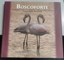 Bosco forte terra nel cuore
