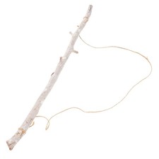  Rami Decorativi Decorazione