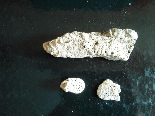 Pietre marine con fori - marine, mar