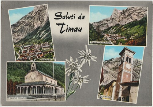 Saluti timau vedutine - da,