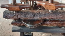 Antico Torchio  x cicciolata