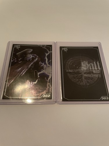 Salt and sanctuary limited - sanctuary,