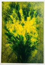 CAZZANIGA GIANCARLO Litografia