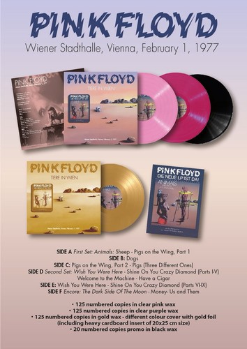 Pink floyd tier - -, in
