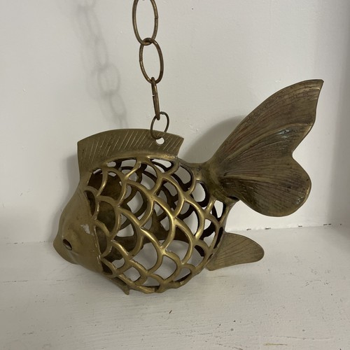 Ottone koi fish - ottone,