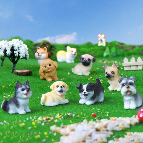 1pz dolci cani piccola - dolci,