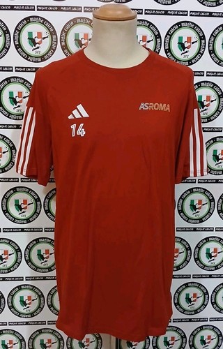 Llorente shirt match worn - t-shirt,