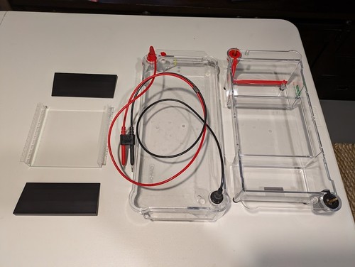 Sistema elettroforesi bio - elettroforesi, bio-rad