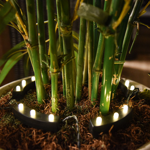 Garden pleasure illuminazione - garden,